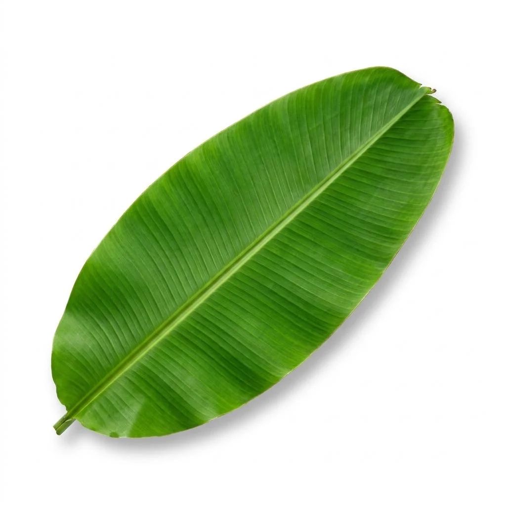 Papper Vazha Ela